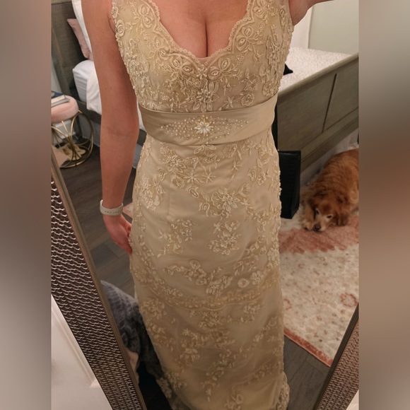 Champagne Colored Prom Dress - Size 4 - Picture 2 of 3